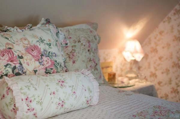 Tea Rose Inn At Plymouth, Nh Esterno foto